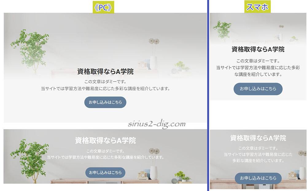 キャプチャ画像